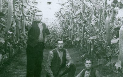 Geurt Quint (1755-1814)