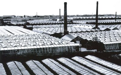 De beruchte Jan Rooderkerk alias Jan Groen (1739)