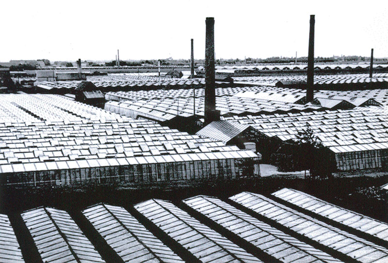 De beruchte Jan Rooderkerk alias Jan Groen (1739)